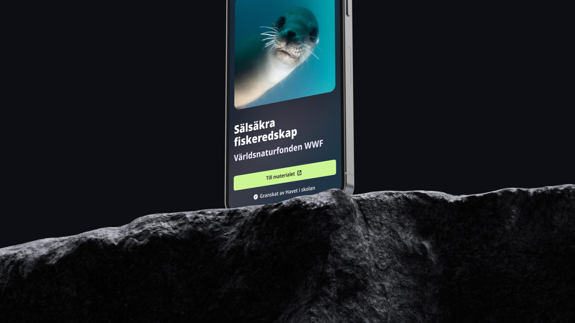 Close-up of website on iPhone