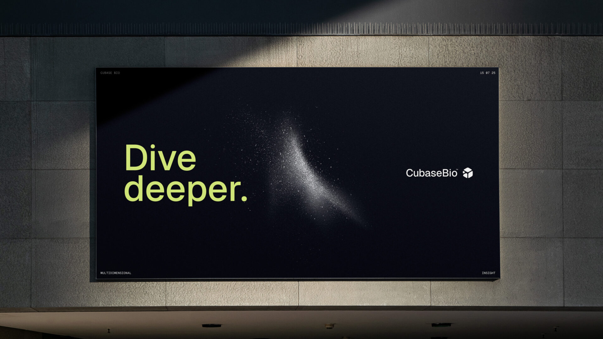 case visual identity startups