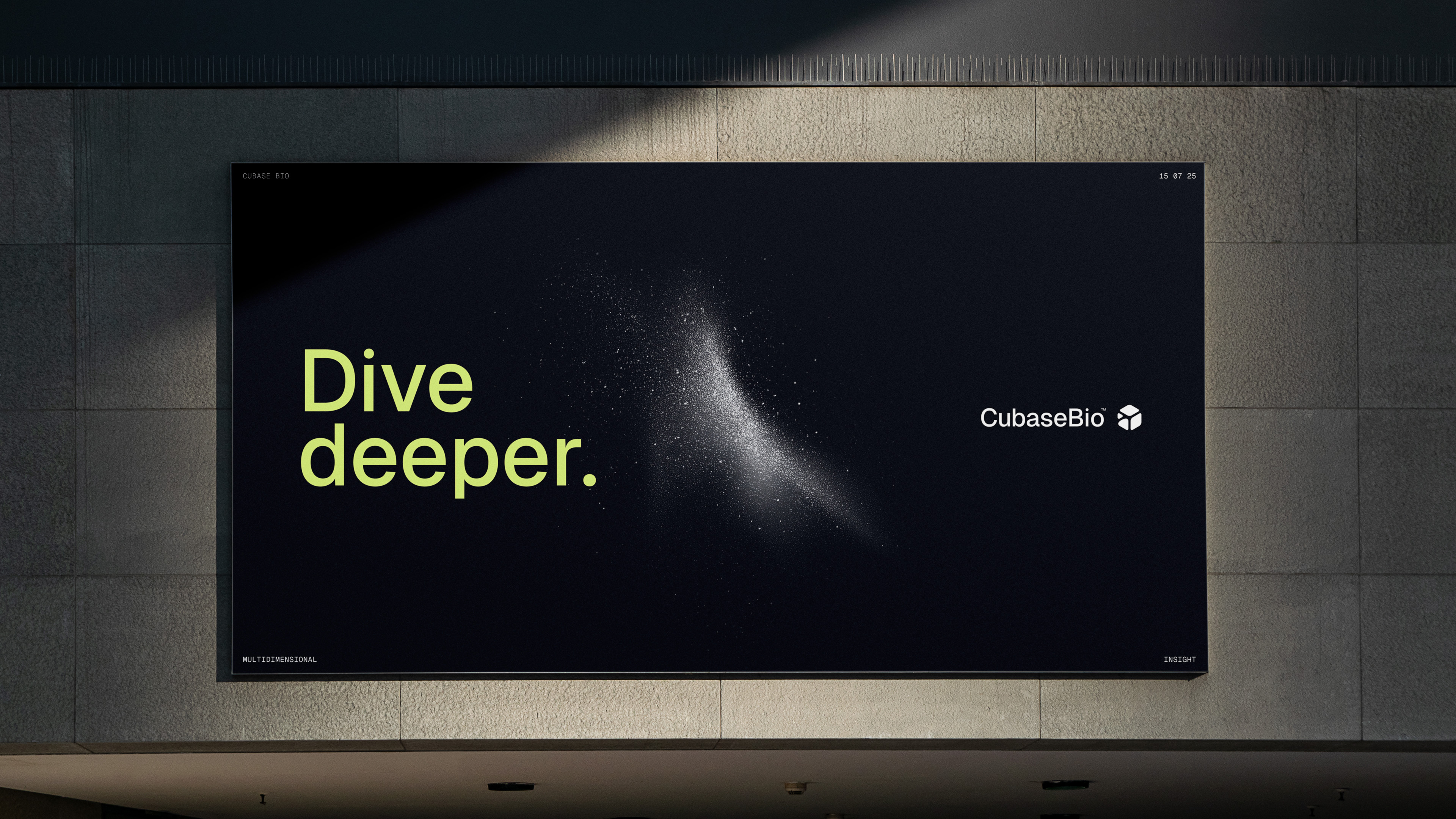 case visual identity startups