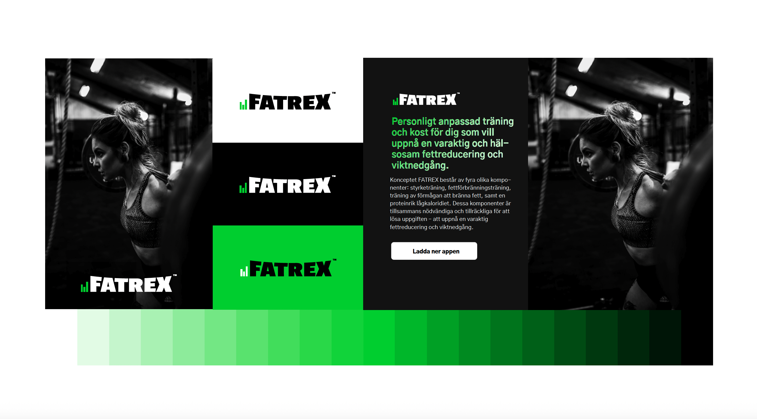 Fatrex colors